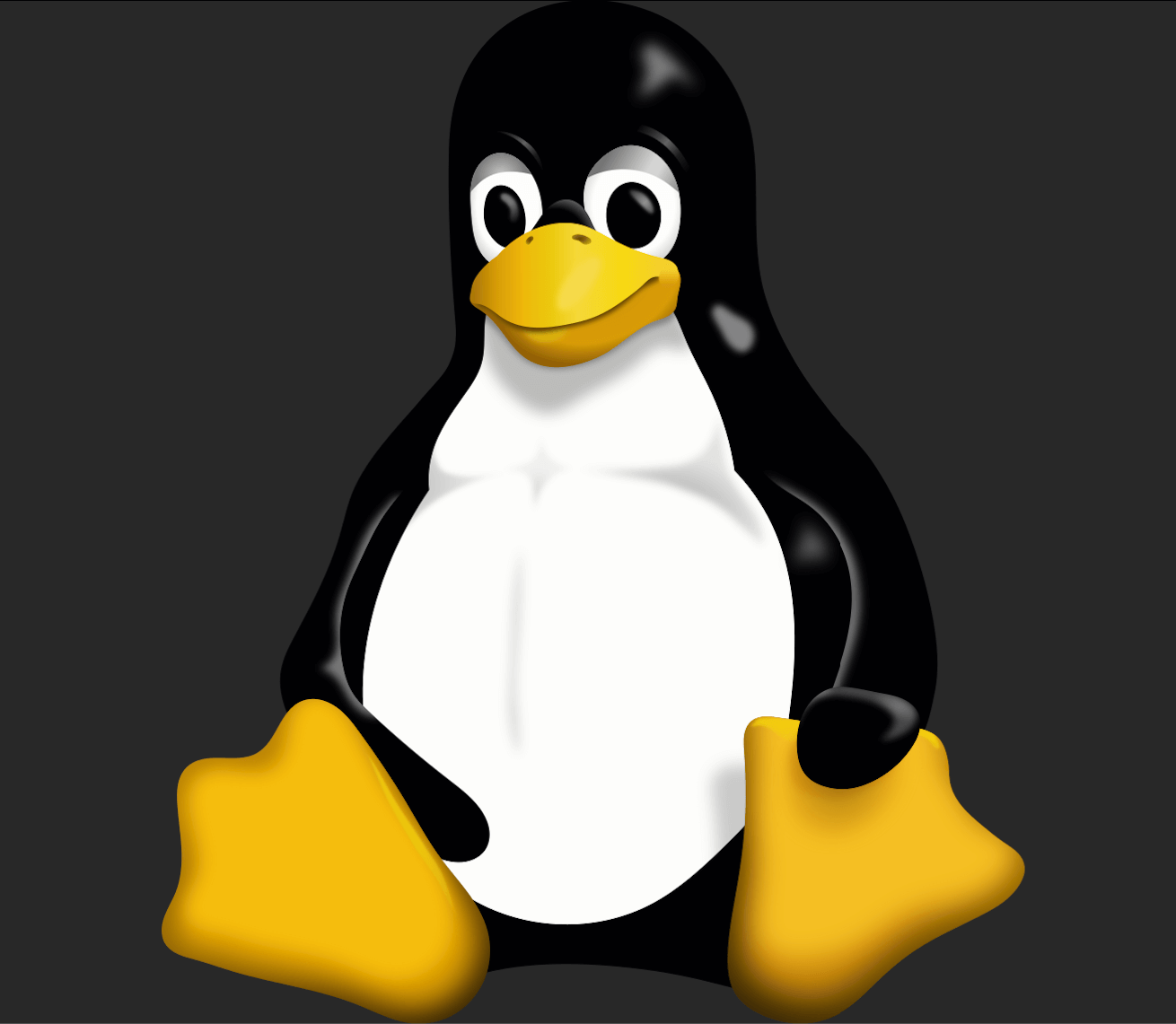 Linux命令大全，从入门到放弃